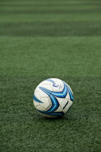 爱游戏app活动-高校体育赛事应急管理体系构建，体育赛事应急预案细则