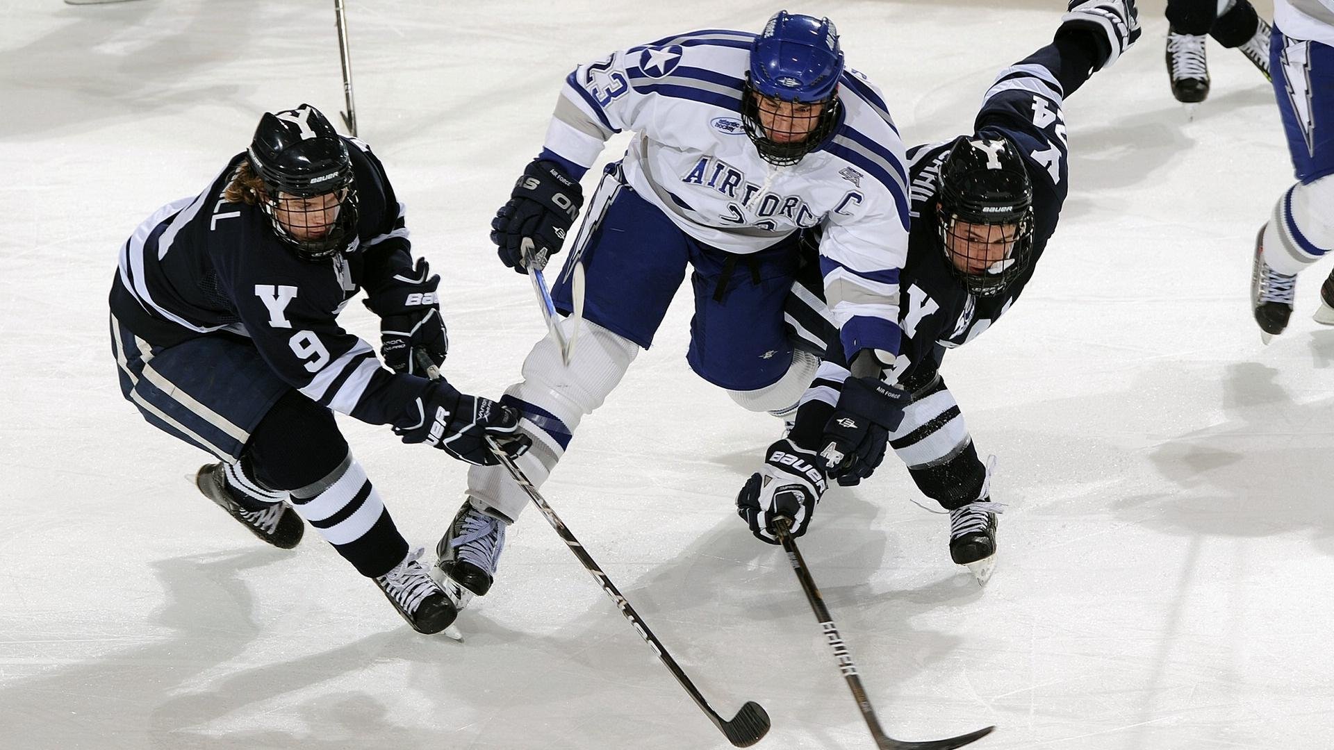 哪支橄榄球队拥有最多关注度?,橄榄球队人数最多