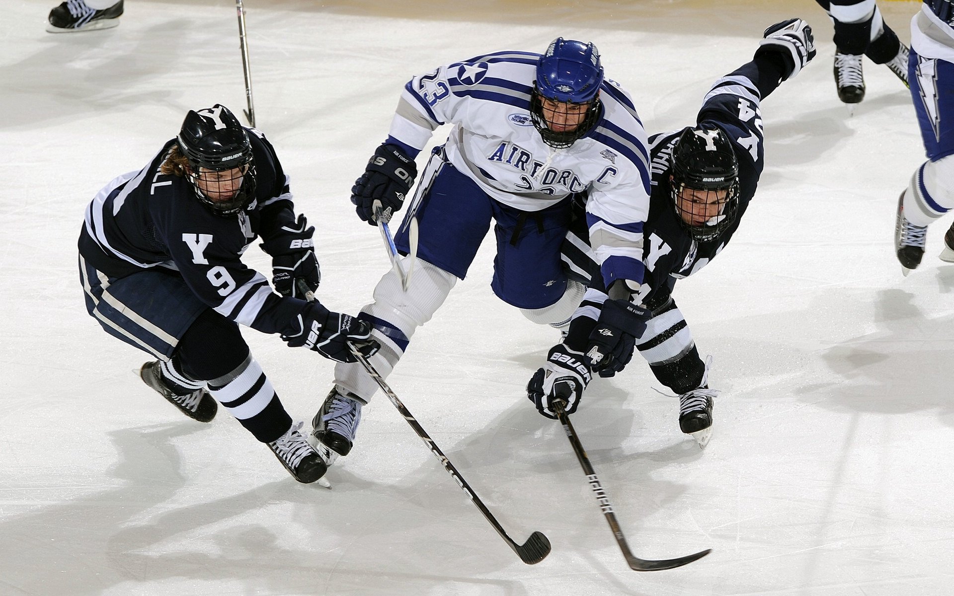 数字贸易再提速,“丝路电商日”共绘合作蓝图